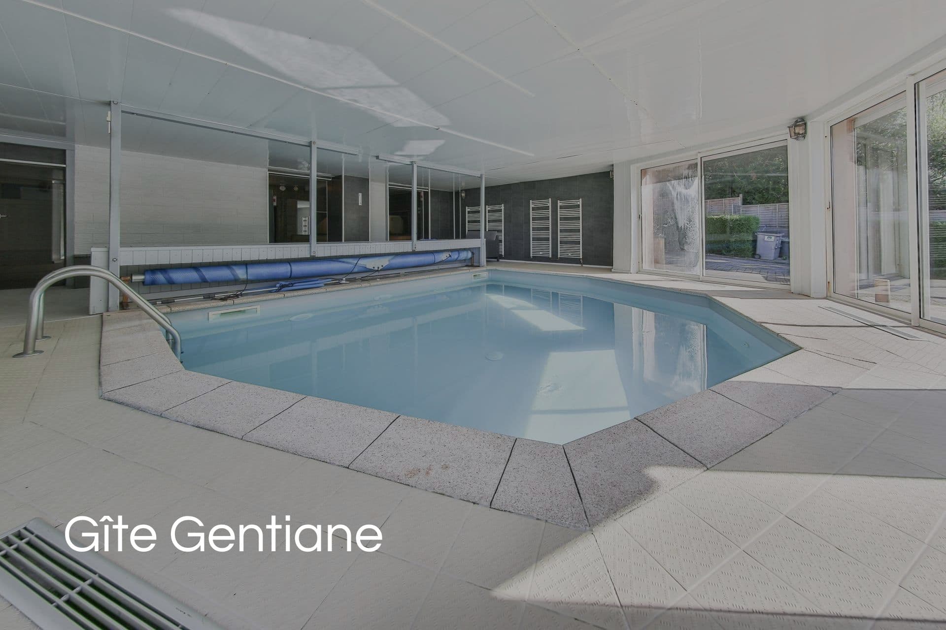 Espace bien-être du gîte Gentiane, hammam, sauna, jacuzzi